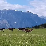 Antico Fienile Gospodarstwo agroturystyczne