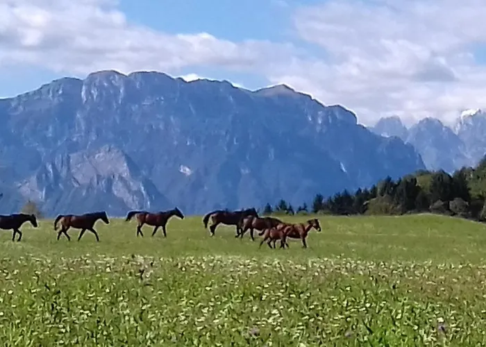 Antico Fienile Farmház