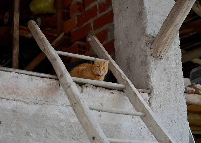 Antico Fienile Farmház Belluno